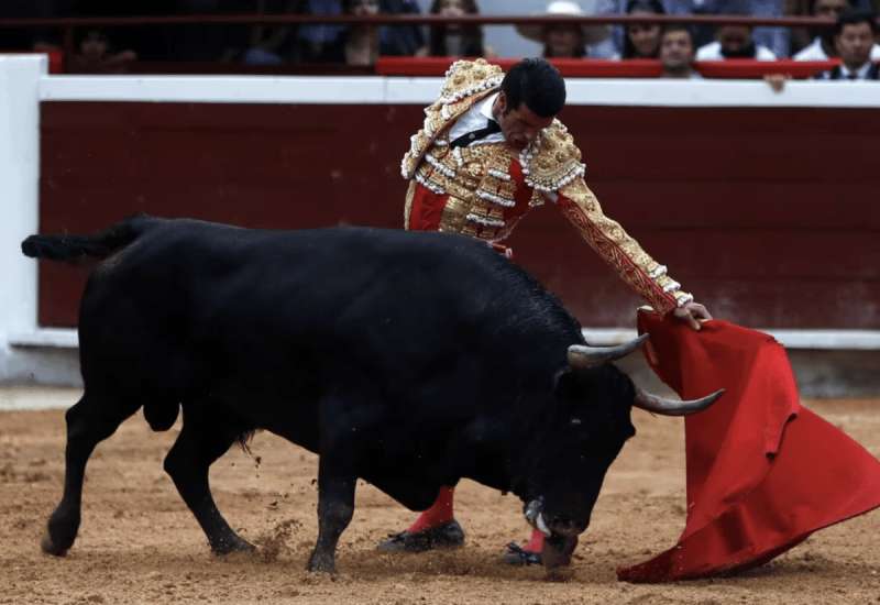 Jueza federal prohíbe el uso de instrumentos de maltrato en corridas de toros en la Ciudad de México