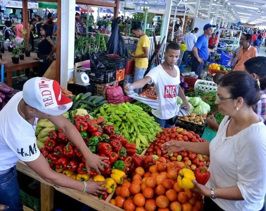 Más del 70% de los genes de resistencia a antibióticos se encuentran en la cadena alimentaria, revela estudio