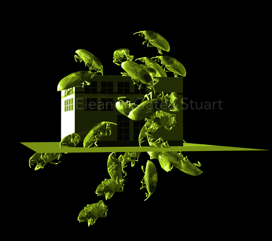 'Night Lights' By Eleanor Gates-Stuart