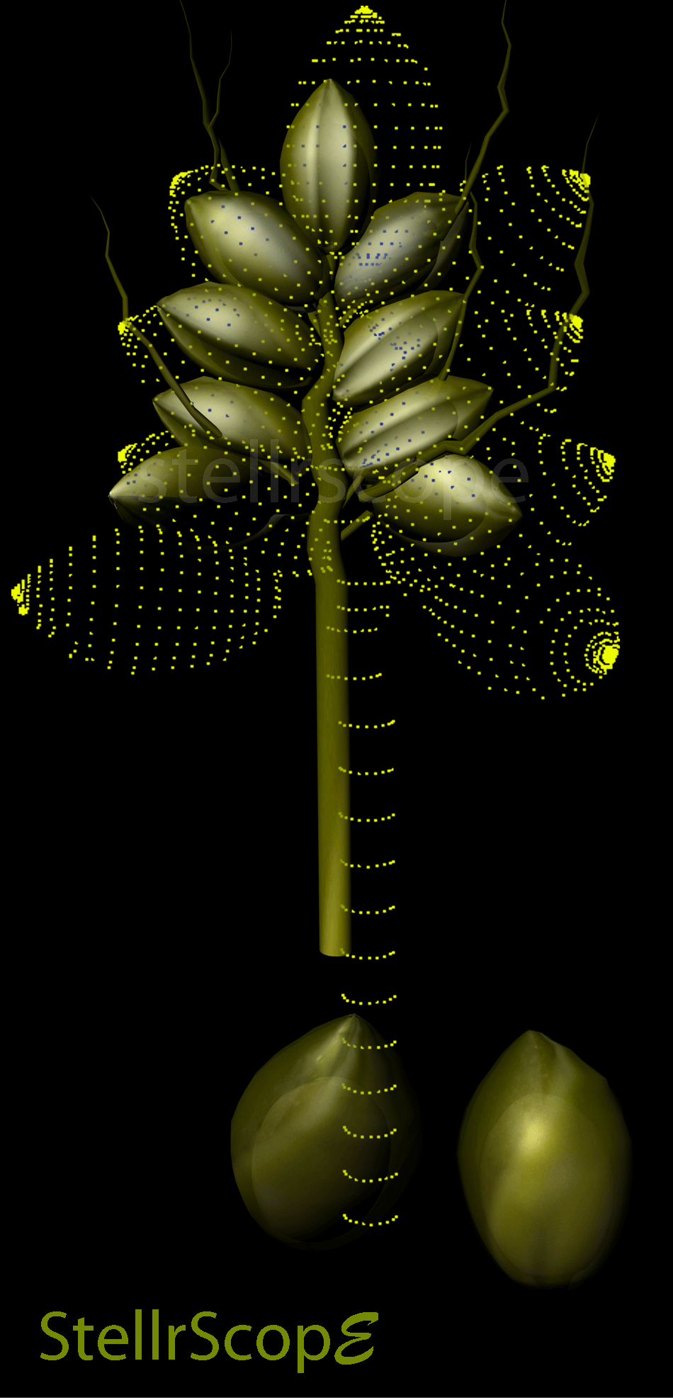 Image: "Beautiful Mutant & Seeds' by Eleanor Gates-Stuart