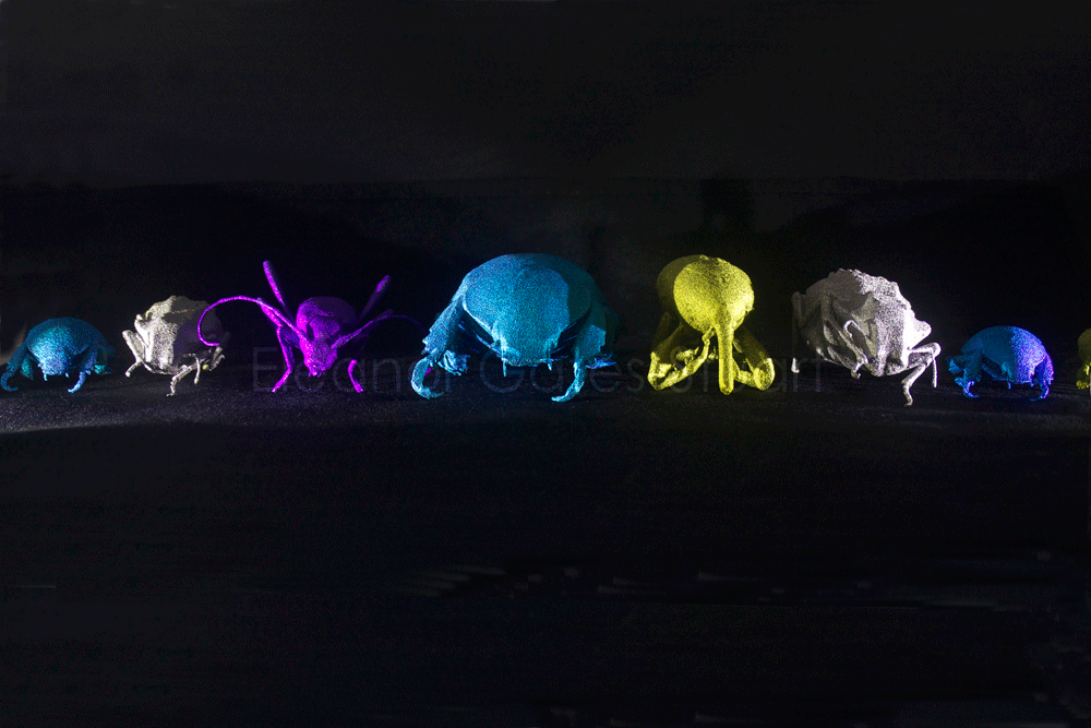 Titanium Insects by Eleanor Gates-Stuart in collaboration with Chuong Nguyen & Sherry Mayo, CSIRO