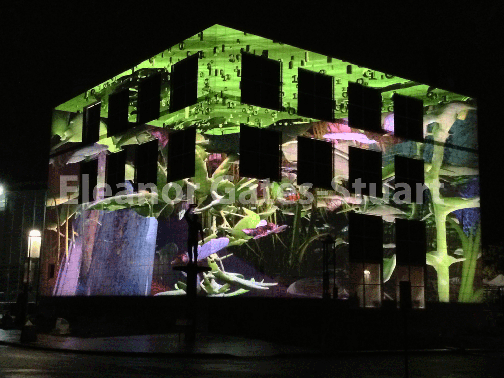 Questacon Artwork by Eleanor Gates-Stuart, Enlighten Canberra 2013