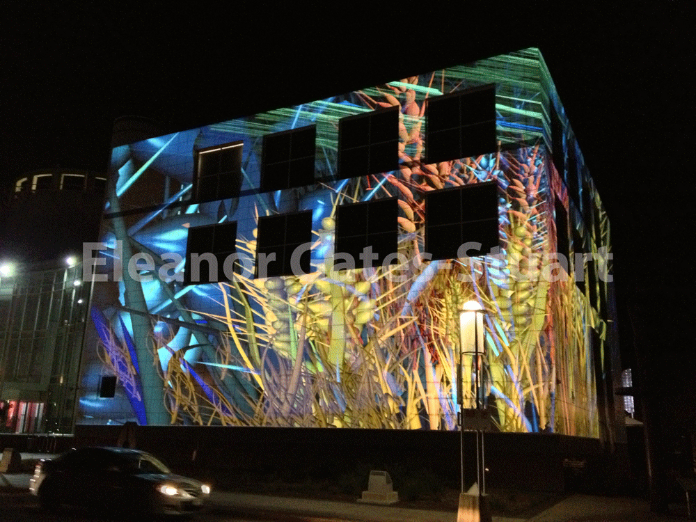 Questacon Artwork by Eleanor Gates-Stuart, Enlighten Canberra 2013