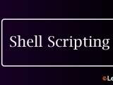 Best Linux Bash Shell Scripting Courses Online With Certification