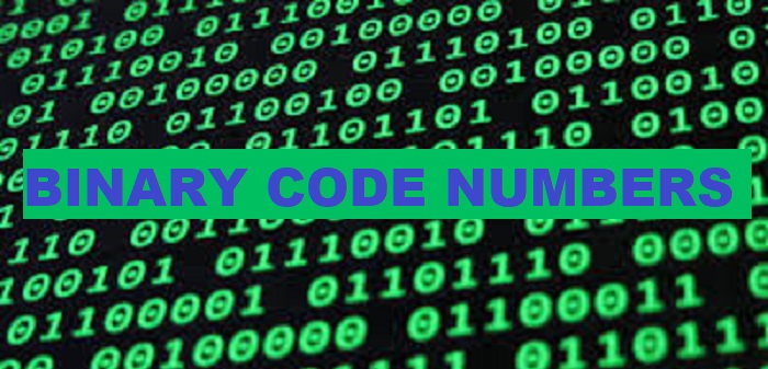 binary code numbers system - Electrical Engineering 123