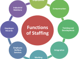 What Is Staffing Meaning Definition Nature Functions