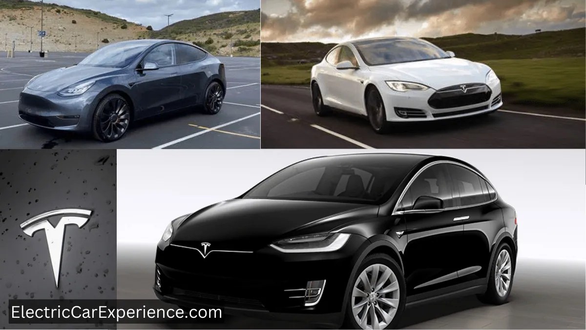 How Much Does A Tesla Car Battery Weigh (model S, Model X, Model Y