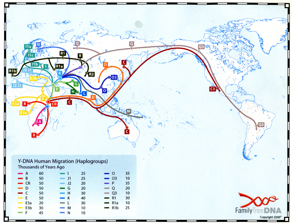 Introduction To Family Finder Autosomal Dna At Family Tree Dna Youtube