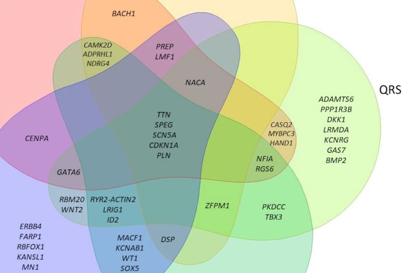 Electrogenomics Group - Elegant Landscape Wallpaper - Retina