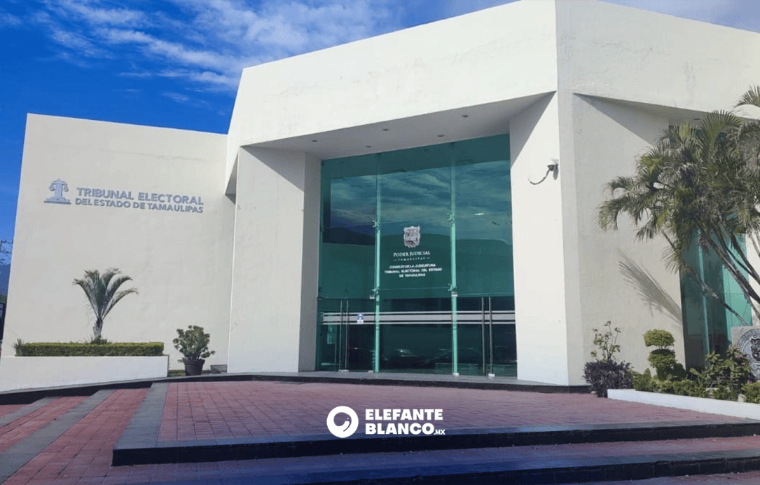 Tribunal Electoral llega al arranque del proceso 2027 con 31 casos sin resolver