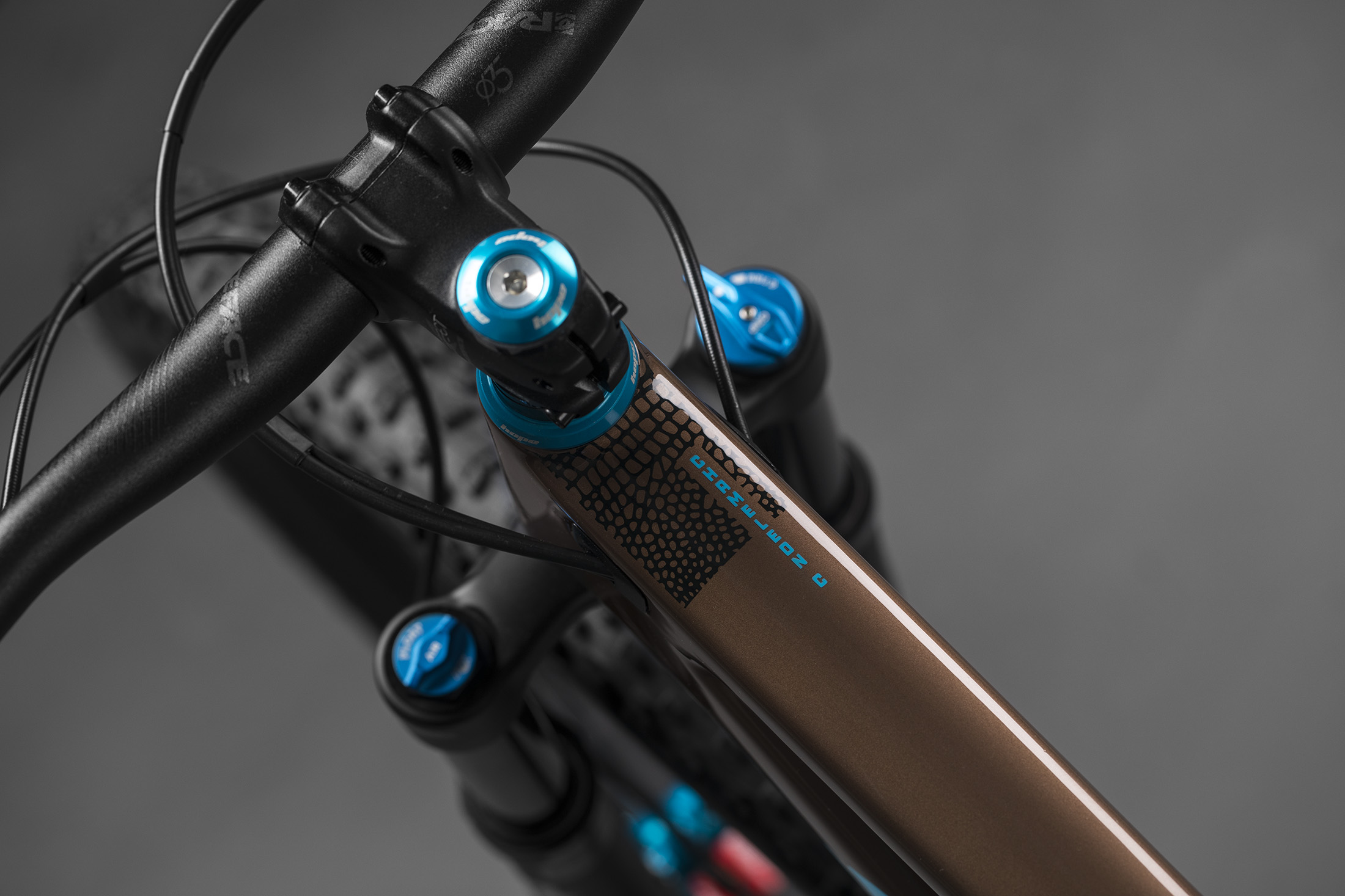 Chameleon Goes Carbon » Element.ly