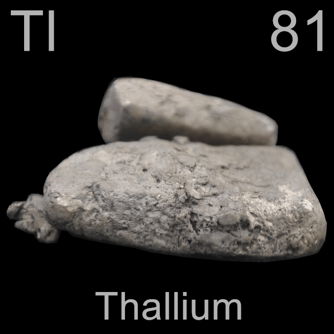 Image 13