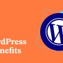 7 Important Benefits Of Using WordPress To Build Your Website - Academy