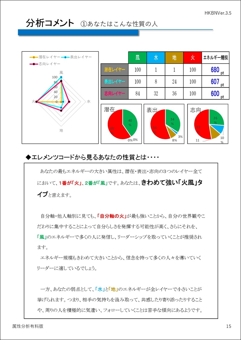 コメント アドバイス付き診断レポート 有料サービス エレメンツコード ４属性から見る心の健康診断