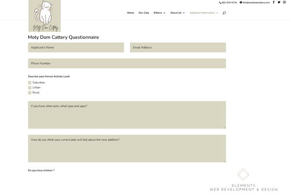 Cattery Business Elements Web Development And Design - Best Sunset Photos in High Resolution