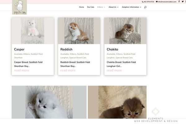 Cattery Business Elements Web Development And Design - Ocean Photo Collection - 8K Quality