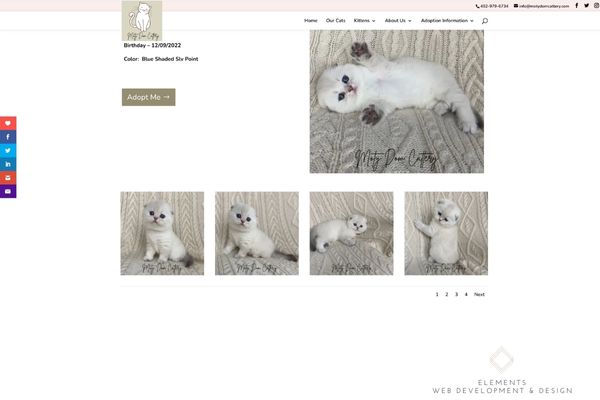 Cattery Business Elements Web Development And Design - Gradient Arts - Elegant Retina Collection