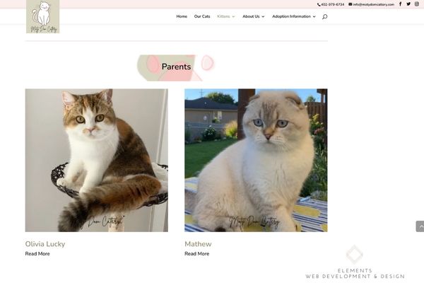 Cattery Business Elements Web Development And Design - Nature Images - Elegant Full HD Collection