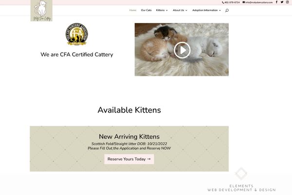 Cattery Business Elements Web Development And Design - Download Perfect Dark Texture | Ultra HD