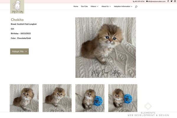 Cattery Business Elements Web Development And Design - Ultra HD Gradient Patterns for Desktop