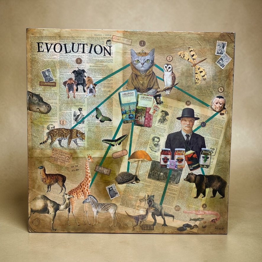 Evolution 22