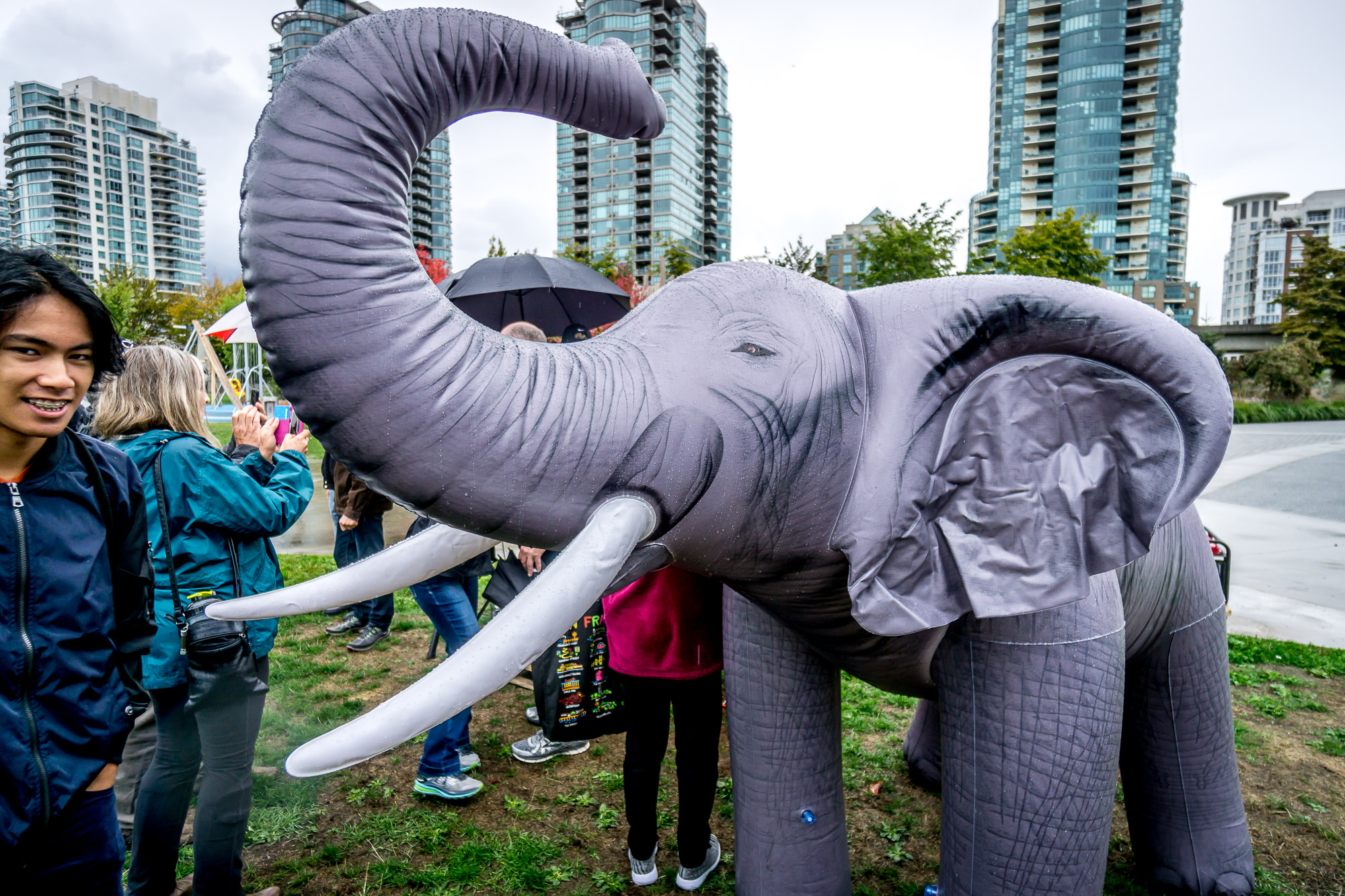 "Elephanatics Foundation - Free elephant conservation lesson plans, toolkits for teachers, and persuasive essay resources."