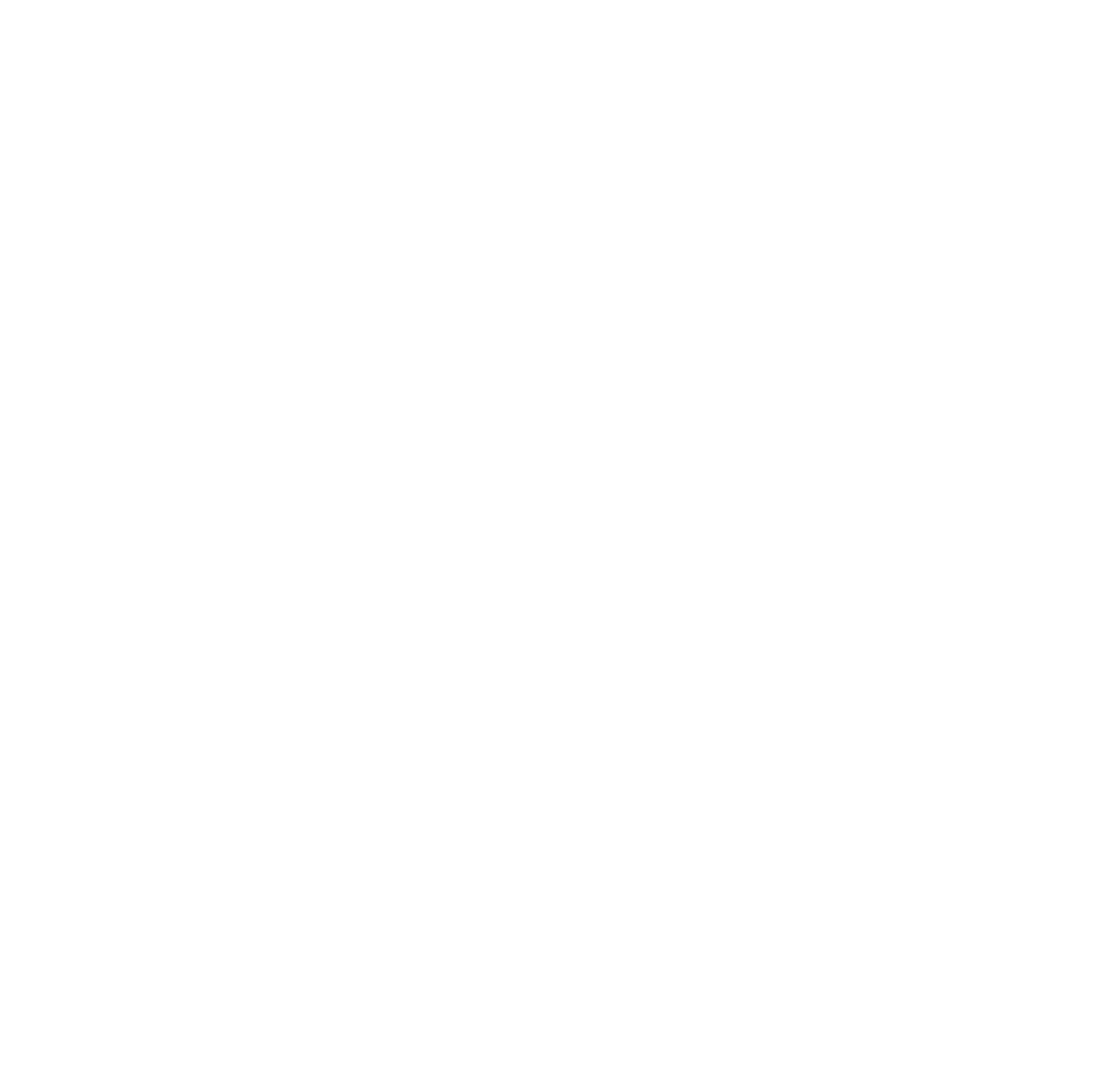 EV