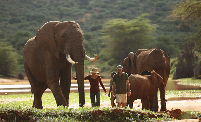 Elevate Destinations Launches Elevate Safaris Elevate