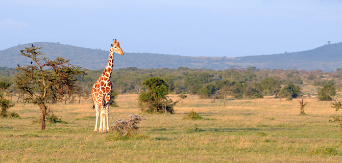 Dining For Women Kenya Elevate Destinations
