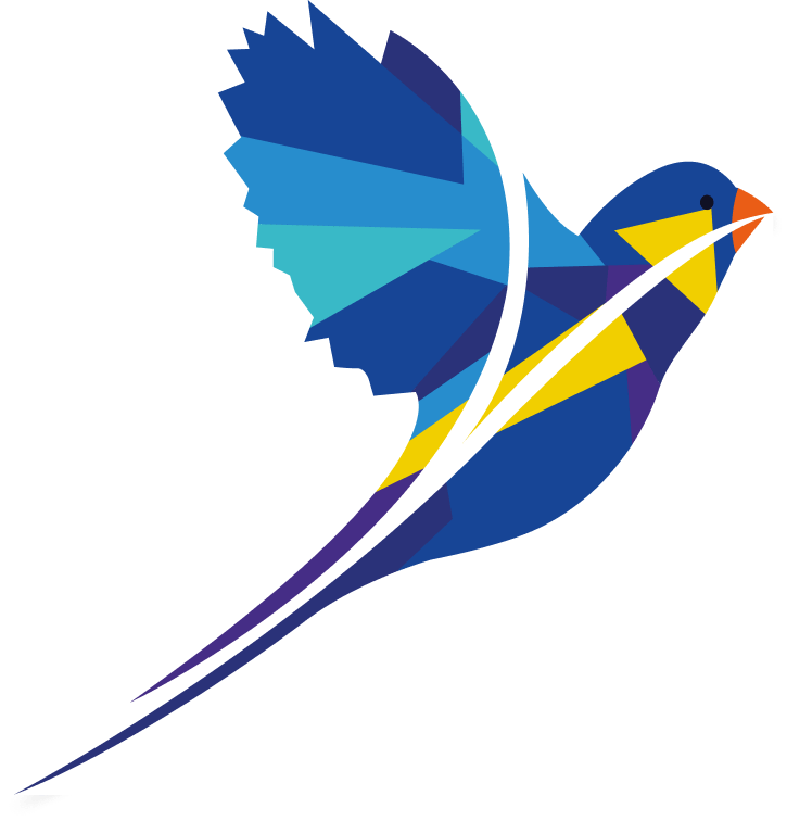 Darwin's finch in flight