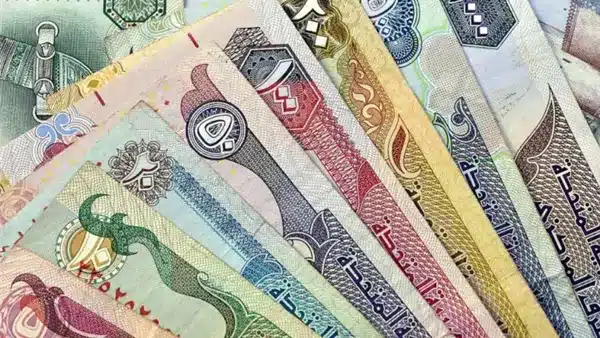 سعر الدرهم الإماراتي مقابل الجنيه اليوم