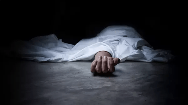 القليوبية في 24 ساعة