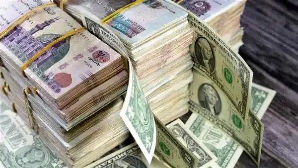 سعر الدولار أمام الجنيه المصري اليوم