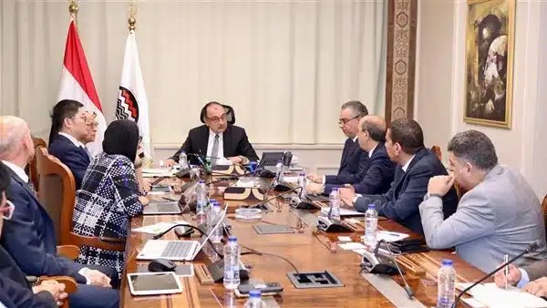 شراكة مصرية-صينية لإنتاج الأمونيا الخضراء بــ420 ألف طن