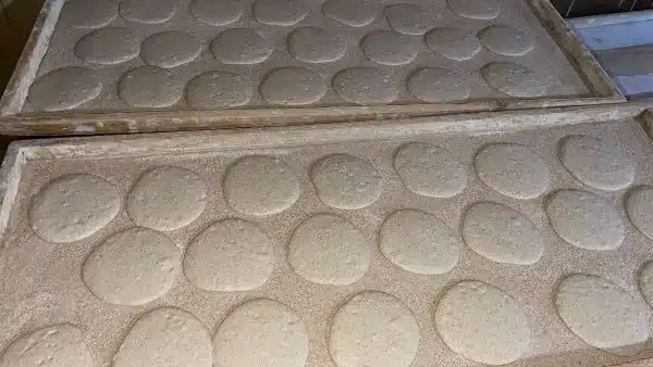 تموين القليوبية يحرر 73 مخالفة في مراكز المحافظة