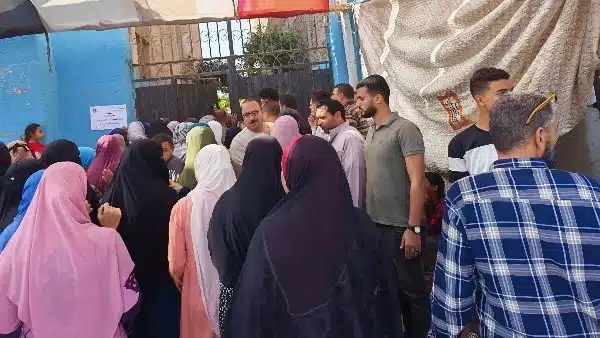 نساء المنصورية يتصدرن لجان الاقتراع