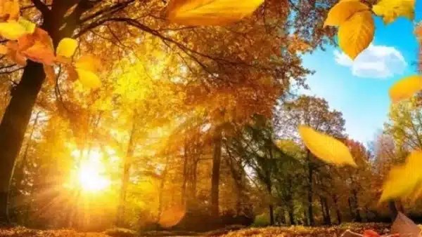 طقس الأربعاء: بارد وحار في تباين ملحوظ