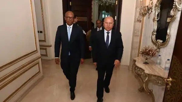 تعزيز التعاون الصناعي بين مصر وجنوب أفريقيا