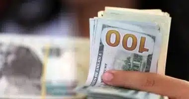 استقرار سعر الدولار أمام الجنيه المصري اليوم