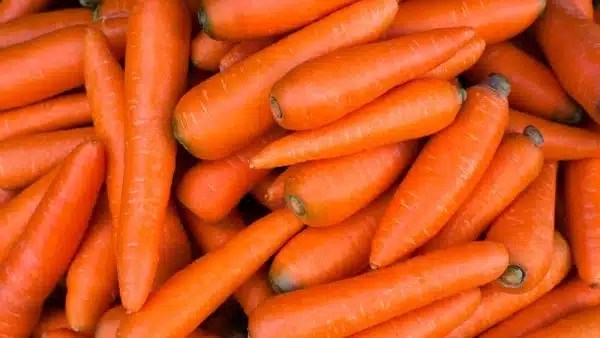 فوائد تناول الجزر يوميًا لجسمك