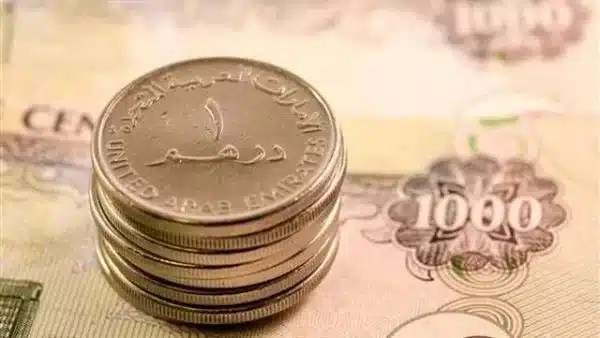 استقرار سعر الدرهم الإماراتي مقابل الجنيه اليوم