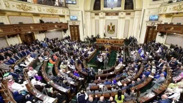 إشادة برلمانية ببرنامج التنمية المحلية بالصعيد