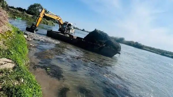 حملة لإزالة ورد النيل في دمياط