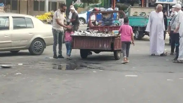 متابعة حملات إزالة الإشغالات في بورفؤاد