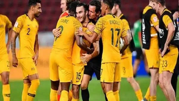 بوبوفيتش: يجب على لاعبي أستراليا تحسين الأداء بعد الهزيمة