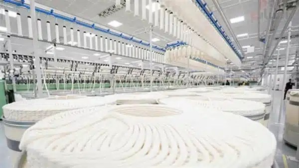 الذهب الأبيض يعاود الانتعاش باستثمار 55 مليار جنيه