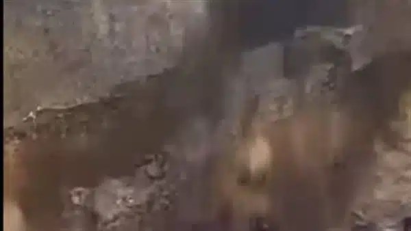 انهيار أرضي في الكونغو يودي بحياة العشرات