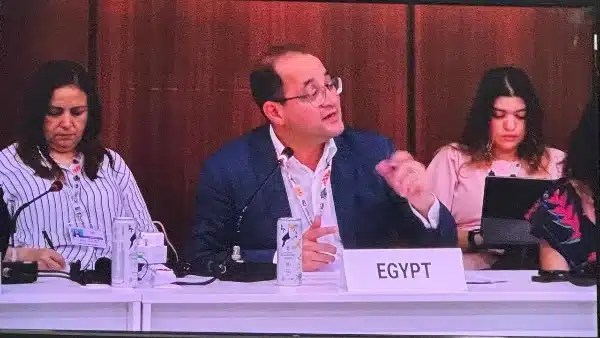 دعم دولي لمنصة مصر الوطنية لتعزيز التكيف المناخي