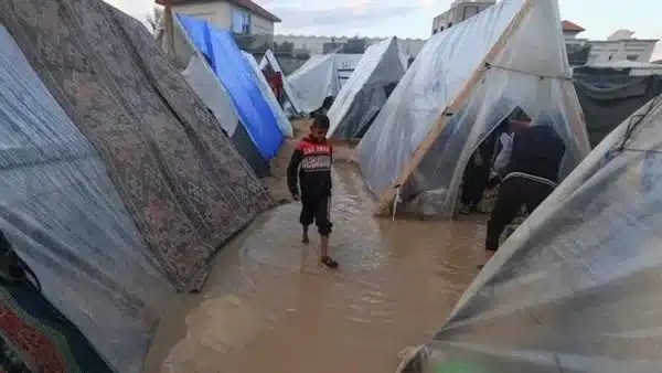 الشتاء يضرب غزة والدعم الإغاثي المصري يتواصل