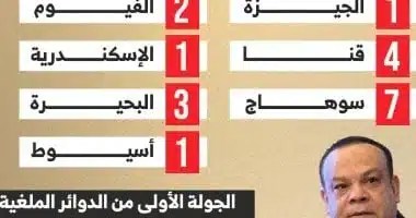 المرشحون في الدوائر الملغاة يتنافسون على 41 مقعدًا